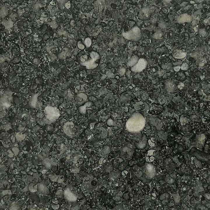 Blue Purbeck Marble - Image 1