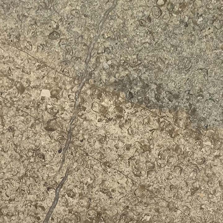 Purbeck Newvein - Image 1