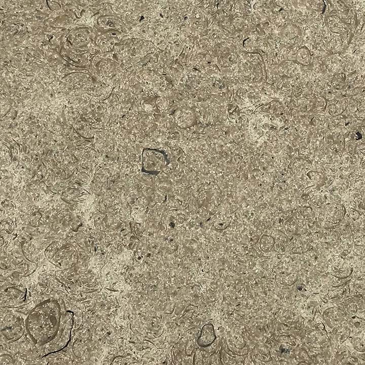 Haysom Purbeck Stone | Purbeck Thornback